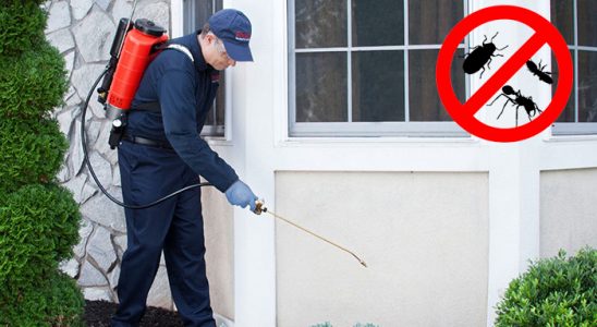 Mazgirt Gümüşkurt İlaçlama böcek ilaçlama ve haşere kontrolü — ilaclama-tr.com